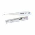 Electronic Personal Thermometer